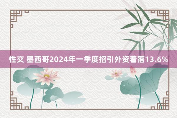 性交 墨西哥2024年一季度招引外资着落13.6%