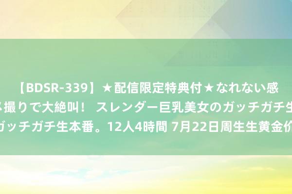 【BDSR-339】★配信限定特典付★なれない感じの新人ちゃんが初ハメ撮りで大絶叫！ スレンダー巨乳美女のガッチガチ生本番。12人4時間 7月22日周生生黄金价钱732元/克