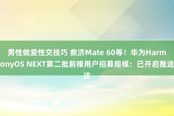 男性做爱性交技巧 救济Mate 60等！华为HarmonyOS NEXT第二批前锋用户招募规模：已开启推送