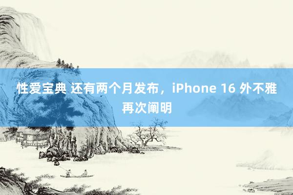 性爱宝典 还有两个月发布，iPhone 16 外不雅再次阐明