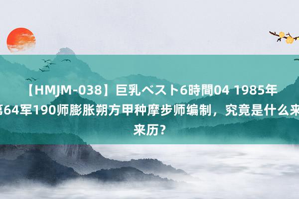 【HMJM-038】巨乳ベスト6時間04 1985年，第64军190师膨胀朔方甲种摩步师编制，究竟是什么来历？