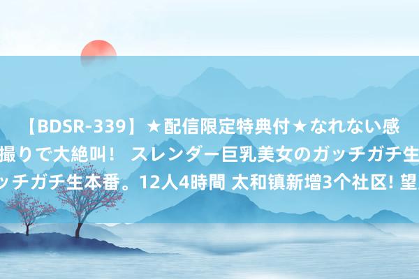 【BDSR-339】★配信限定特典付★なれない感じの新人ちゃんが初ハメ撮りで大絶叫！ スレンダー巨乳美女のガッチガチ生本番。12人4時間 太和镇新增3个社区! 望望你家属于哪?