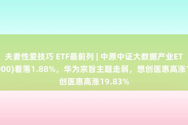 夫妻性爱技巧 ETF最前列 | 中原中证大数据产业ETF(516000)着落1.88%，华为宗旨主题走弱，想创医惠高涨19.83%