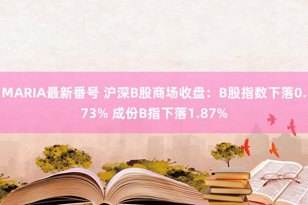 MARIA最新番号 沪深B股商场收盘：B股指数下落0.73% 成份B指下落1.87%