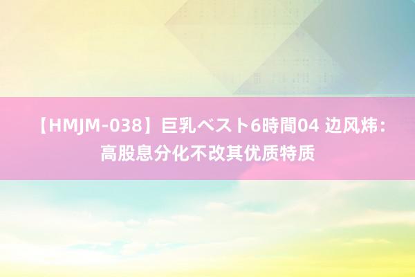 【HMJM-038】巨乳ベスト6時間04 边风炜：高股息分化不改其优质特质