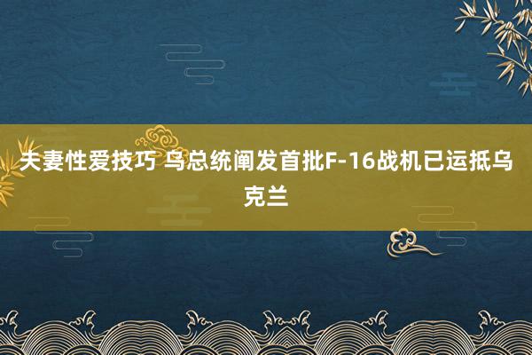 夫妻性爱技巧 乌总统阐发首批F-16战机已运抵乌克兰