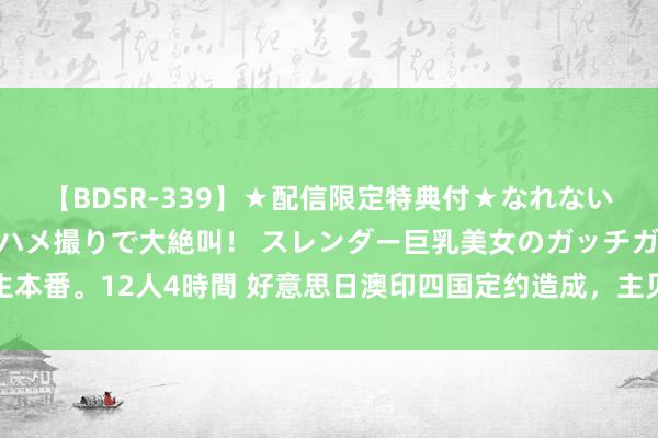 【BDSR-339】★配信限定特典付★なれない感じの新人ちゃんが初ハメ撮りで大絶叫！ スレンダー巨乳美女のガッチガチ生本番。12人4時間 好意思日澳印四国定约造成，主见是中国，不准中国结束和洽