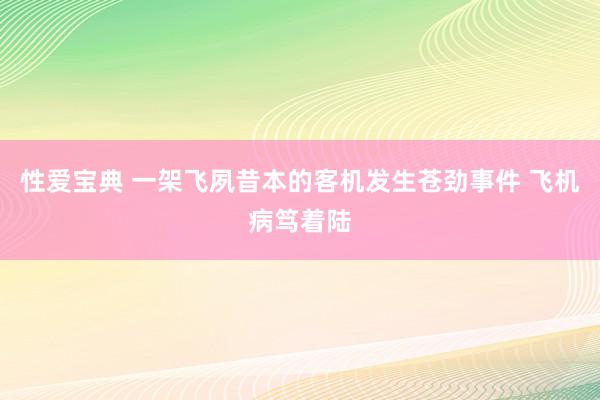 性爱宝典 一架飞夙昔本的客机发生苍劲事件 飞机病笃着陆