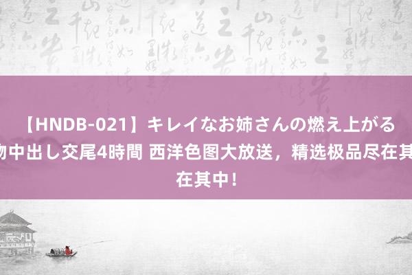 【HNDB-021】キレイなお姉さんの燃え上がる本物中出し交尾4時間 西洋色图大放送，精选极品尽在其中！