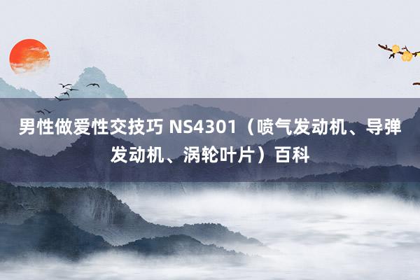 男性做爱性交技巧 NS4301（喷气发动机、导弹发动机、涡轮叶片）百科