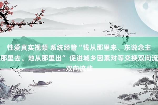 性爱真实视频 系统经管“钱从那里来、东说念主往那里去、地从那里出” 促进城乡因素对等交换双向流动