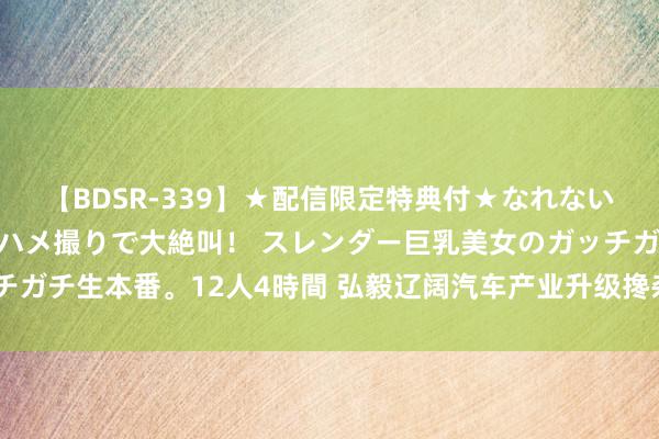 【BDSR-339】★配信限定特典付★なれない感じの新人ちゃんが初ハメ撮りで大絶叫！ スレンダー巨乳美女のガッチガチ生本番。12人4時間 弘毅辽阔汽车产业升级搀杂A基金司理樊可离任