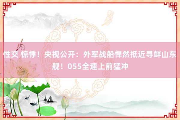 性交 惊悸！央视公开：外军战船悍然抵近寻衅山东舰！055全速上前猛冲