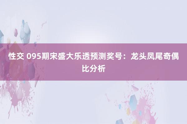 性交 095期宋盛大乐透预测奖号：龙头凤尾奇偶比分析