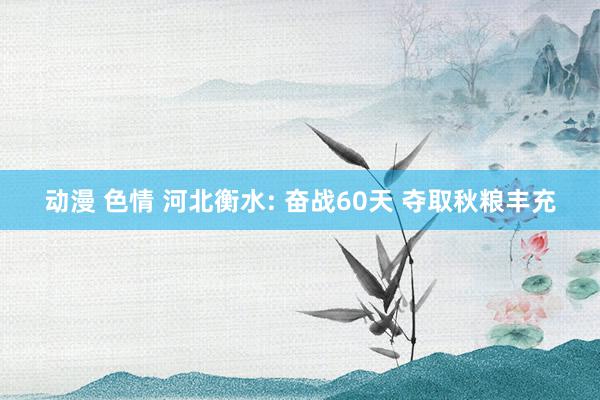 动漫 色情 河北衡水: 奋战60天 夺取秋粮丰充