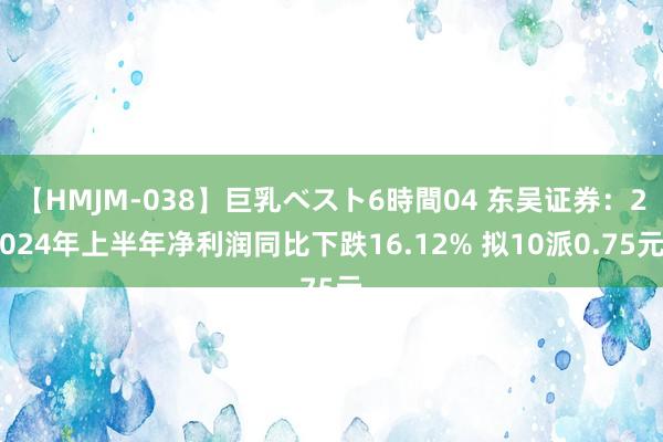 【HMJM-038】巨乳ベスト6時間04 东吴证券：2024年上半年净利润同比下跌16.12% 拟10派0.75元