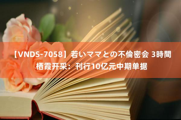 【VNDS-7058】若いママとの不倫密会 3時間 栖霞开采：刊行10亿元中期单据