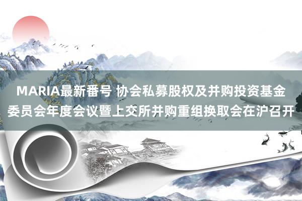 MARIA最新番号 协会私募股权及并购投资基金委员会年度会议暨上交所并购重组换取会在沪召开