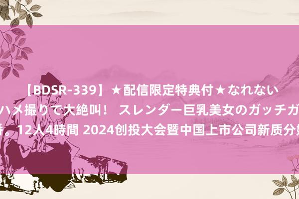 【BDSR-339】★配信限定特典付★なれない感じの新人ちゃんが初ハメ撮りで大絶叫！ スレンダー巨乳美女のガッチガチ生本番。12人4時間 2024创投大会暨中国上市公司新质分娩力投资与并购研讨对接会将举办